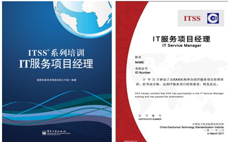 it天空_it项目经理收入(2)